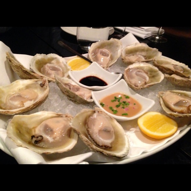 Bluff Oysters