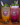 Mango Lime Cooler or a Lychee-Dragonfruit Quencher