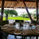 Lunch w the paddy field view