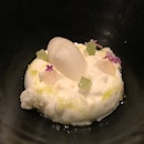 Buttermilk Gin And Tonic Sorbet