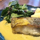 Black Cod "Pantogonian Toothfish" with a side of delicious mash and greens.