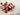 Hibiscus & aloe vera sorbet, Riesling poached cranberries, kombucha glaze | Really refreshing!