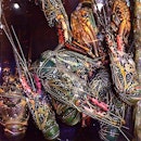 #lobster #seafood #Menega #cafe #jimbaran #resto #bali #indonesia