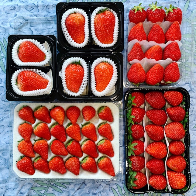 Premium Korean Strawberries Are All Kinds Of Wonderful!