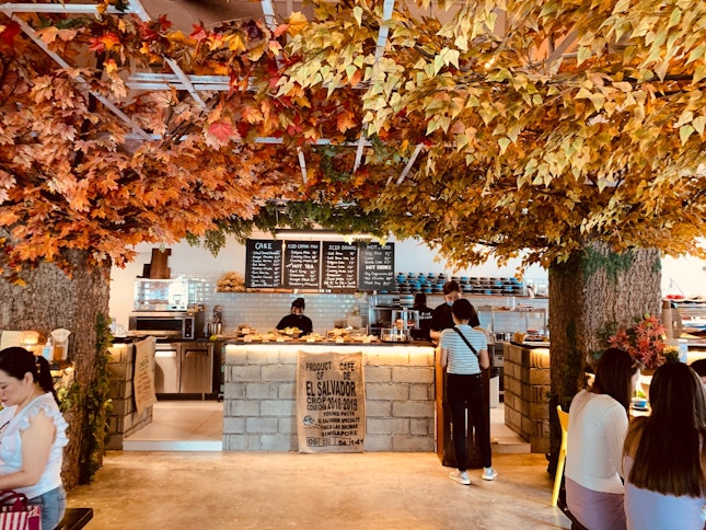 Maple Leaves Korean Cafe