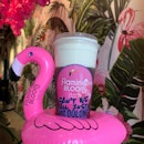 Flamingo Bloom