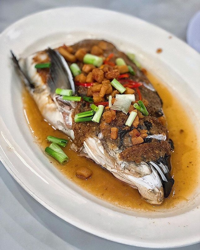 [Geylang] I would come for their Steamed Fish Head ($26), a Cantonese Classic with fermented bean paste and pork lard; theirs with nicely balanced flavours and tender fish.