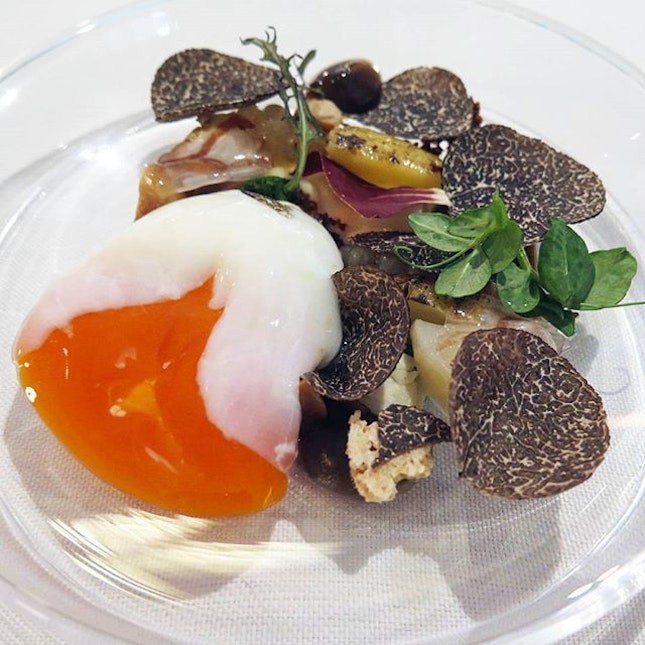 We're still too full for dinner from them beautiful truffles (and the super yummy egg).