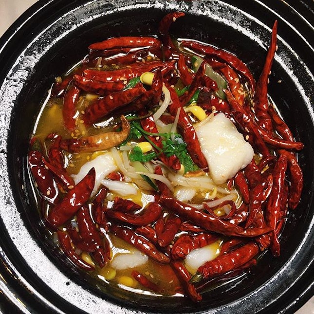 Stewed fish fillet in super spicy Szechwan pepper sauce ("水煮鱼") from Shisen Hanten in Mandarin Orchard.