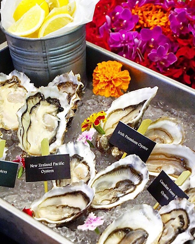 Oysters from all walks of life?