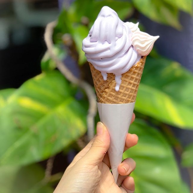 Honey purple potato softserve [$4.50] Served in a cup/cone, flavours of softserve are on a rotational basis, with the current one being honey purple potato.