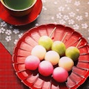 Day16. Two Things. Tea & Mochi. 🍡 #Mochi 🚁 #Japan 🎉 #GreenTea 🎋 #Delicious 🍫 #Yum 🍪 #Yummy 🍳 #Green 🍭 #Food 🍬 #FoodPorn 🍉 #Sweet 🍢 #Candy 🍥 #Heaven 🍕 #Happy 🎿 #Fun 🏂 #Awesome 🔖 #Cool 🎨 #InstaHub 🚂 #Statigram 🚀 #Nature ⛵ #Photo ⛄ #Amazing ⛅ #Summer 🍧 #Dessert 🍮 #Like 🎣 #LikeForLike 🍤 #Eat 🌾 #InstaDaily 🍁 #Hot 🍂 #Hungry 🌿 #FMSphotoaday ☕