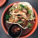 Sourdough Tacos (Duck Curry)
