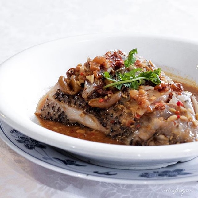 Steamed Threadfin Fish Head ($46). by Justin Teo