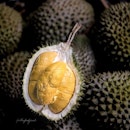 Mao Shan Wang, Black Gold Durian (~$15/kg for MSW, $19/kg for Black Gold, price changes daily).