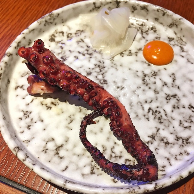 Aus Frementle Octopus Tentacle