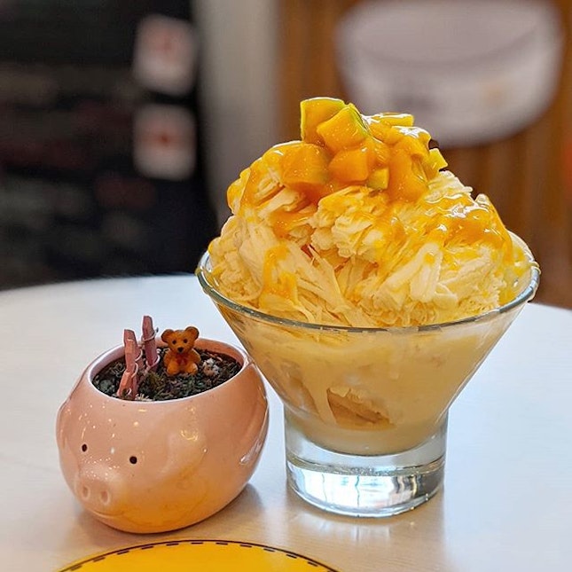 Mango Snow Flake Dessert (Small) 芒果雪花冰 (小) @ Monki Cafe
:
:
#singapore #sg #igsg #sgig #sgfood #sgfoodies #food #foodie #foodies #burpple #burpplesg #foodporn #foodpornsg #instafood #gourmet #foodstagram #yummy #yum #foodphotography #nofilter #sgcafe #sgcafes #weekend #dessert #mango #sweet #雪花冰 #芒果 #taiwanese #taiwanesefood