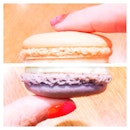 New mixed macaron flavour like @engnatalie?