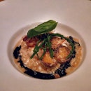 The Lobster Risotto (SGD$38.00 for appetiser portion / SGD$72.00 for main course portion) - doused with hazelnut squid ink, sea asparagus and parmesan cheese.