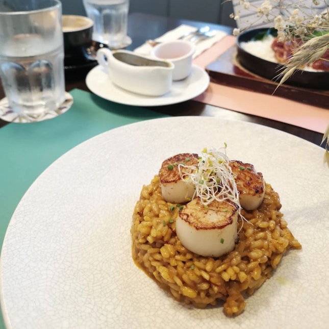 Go For Their Scallop Risotto!