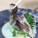[Ichiban Boshi] - Aburi Shime Saba ($8.90) which features thin slices of seared mackerel seasoned with Japanese citrus vinegar, spring onion, sesame seeds, grated ginger and citrus pepper paste.