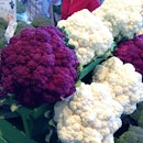 Beautiful cauliflowers at Marche Jean-Telon in Montreal.