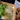 Fresh arugula & alfalfa sprouts for a unique pizza experience.😍 #yellowcab #foodporn #feastmode #gluttony #burpple #happytummy #cravings #nomnomnom #foodie #vsco #wheninmanila #myfoodadventure #mytummycravestoo