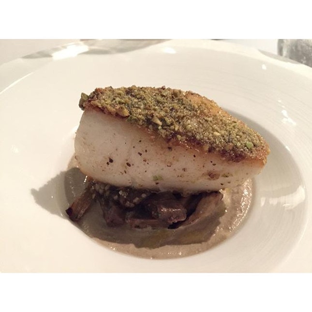 Pan seared cod with eggplant and pistachio #burpple #restaurantweek