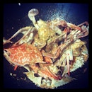 Homemade chilli #crab #foodporn #food #seafood