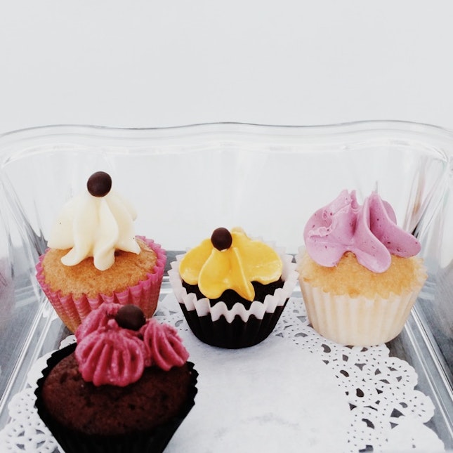 Cute Sample Cupcakes!