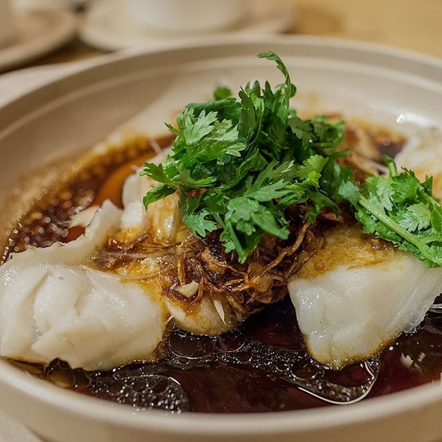 #foodesteem 
Hong Kong Style Steamed Silver Cod Fish, Dian Xiao Er.
